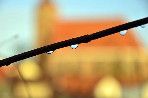 Our Daily Blessing: Power to overcome, prevail &&nbsp;progress