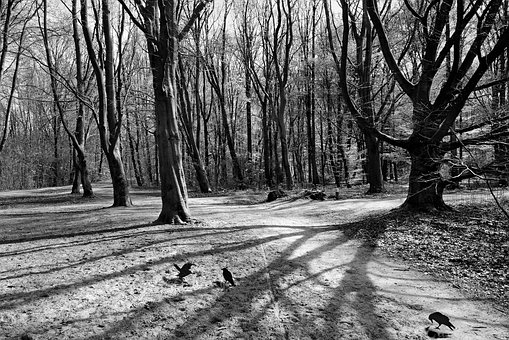 Our Daily Blessing: Live and leave a righteous&nbsp;legacy!